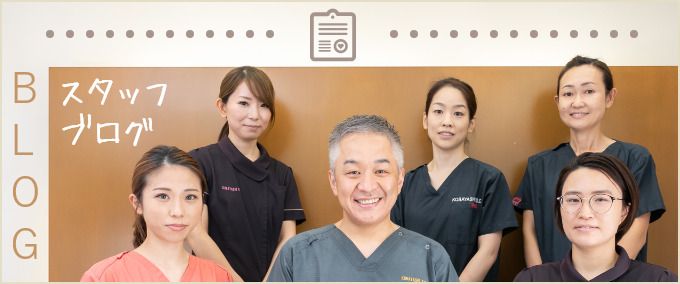 スタッフブログ